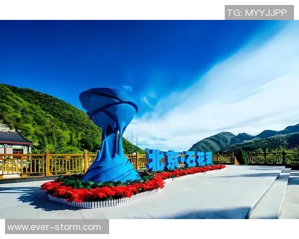 重磅专题：探秘北京飞盘队如何通过包夹战术实现全面革新与突破